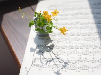 石川ピアノ教室